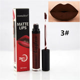 8 Colors Sexy Fashion Liquid Lipstick!