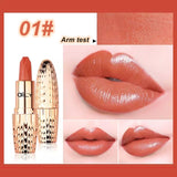 AILY lipstick Brand Professional Lips !