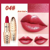 AILY lipstick Brand Professional Lips !