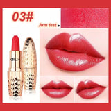 AILY lipstick Brand Professional Lips !