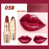 AILY lipstick Brand Professional Lips !