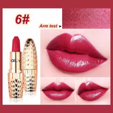 AILY lipstick Brand Professional Lips !