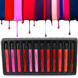 POPFEEL 12 Pcs/Set Cosmetics Lip Kit !